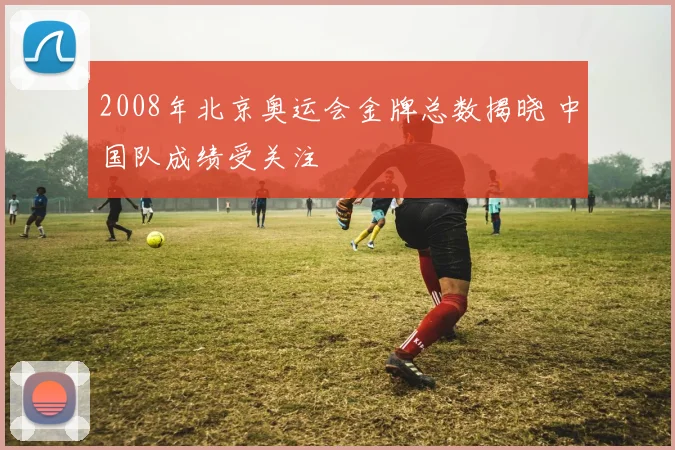 2008年北京奥运会金牌总数揭晓 中国队成绩受关注